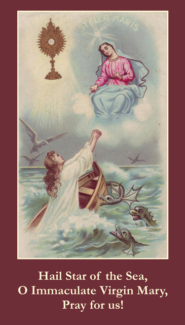 Ave Maris Stella Prayer Card